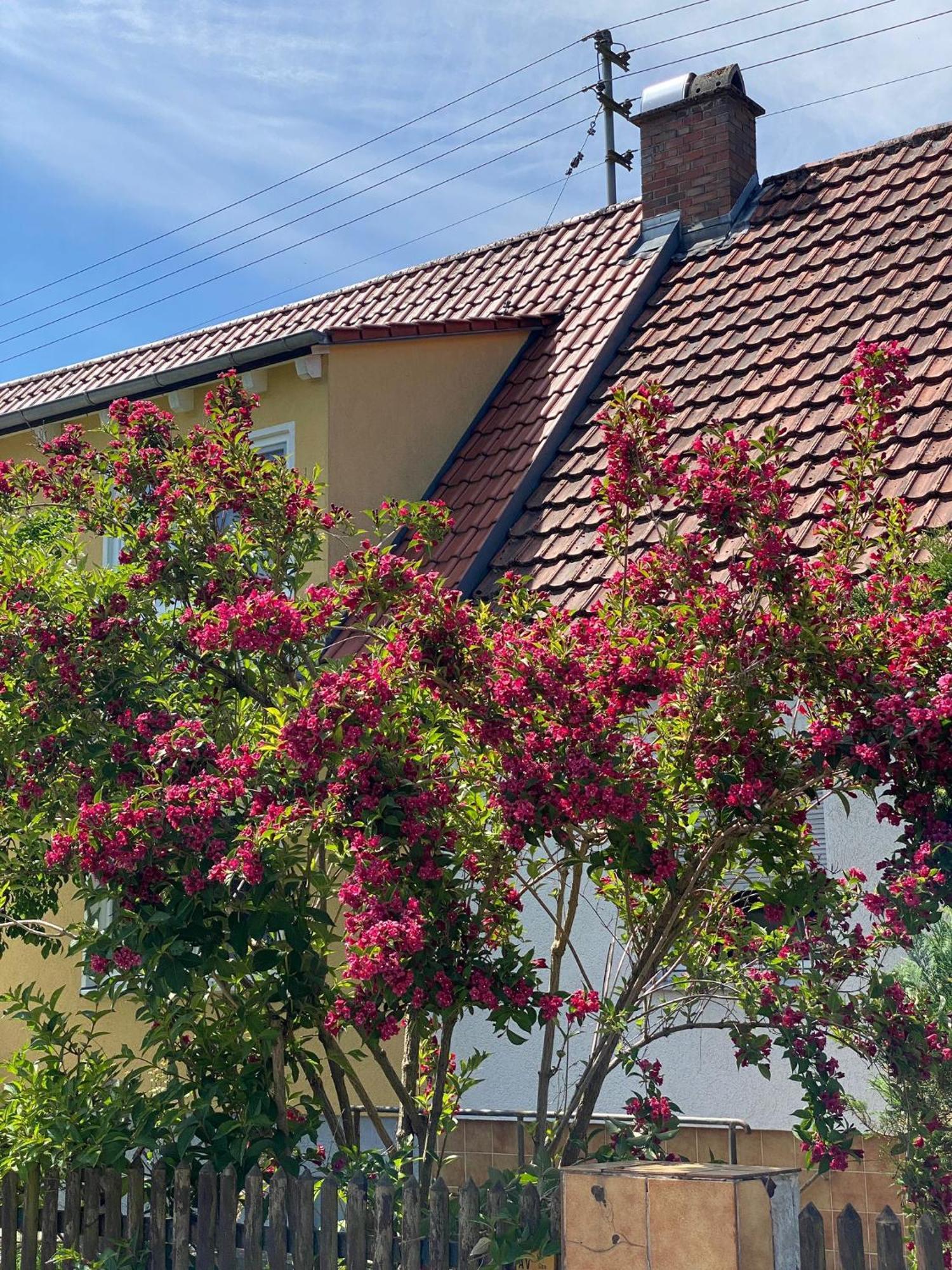 Haus Am Kuhsee Augsburg Exteriér fotografie